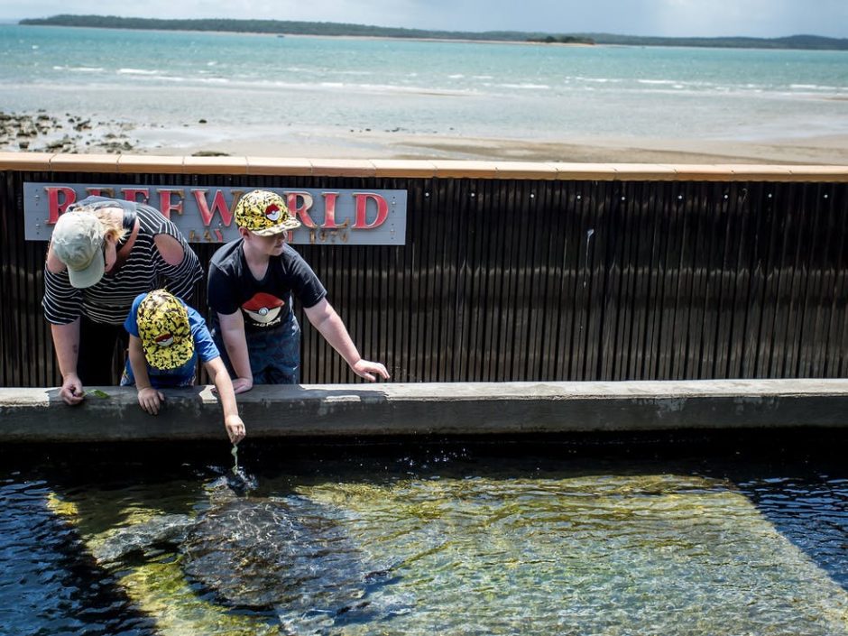 Hervey-Bay-Aquarium1