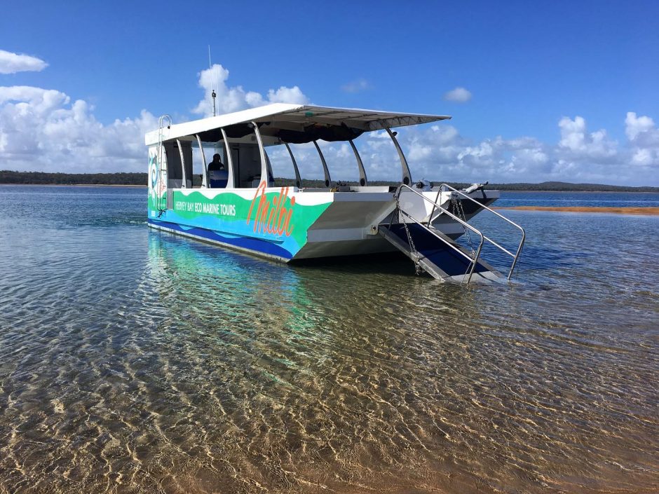 Hervey-Bay-Eco-Marine-Tours1