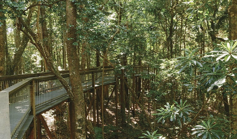 Sea-Acres-Rainforest1